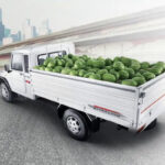 Rise of the Pickup Truck: Exploring the All-American Favorite