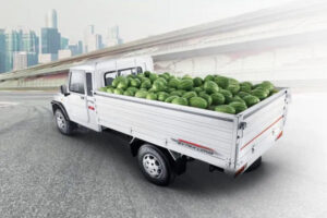 Rise of the Pickup Truck: Exploring the All-American Favorite